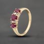 Second Hand 9ct Yellow Gold Ruby & 0.08ct Brilliant Cut Diamond Seven Stone Ring 41383533