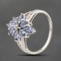 Second Hand 9ct White Gold Tanzanite & Diamond Cluster Ring 41383623
