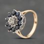 Second Hand 9ct Yellow Gold Sapphire & 0.10ct Brilliant Cut Diamond Flower Cluster Ring 41383764