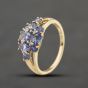 Second Hand 9ct Yellow Gold Tanzanite & 0.04ct Brilliant Cut Diamond Cluster Ring 41384408