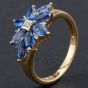 Second Hand 9ct Yellow Gold Brilliant Cut Diamond and Sapphire Flower Cluster Ring 4167333