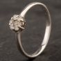 Second Hand 14ct White Gold Seven Stone Diamond Cluster Ring 4229986