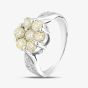 Second Hand 18ct White Gold 1.70ct Brilliant Cut Fancy Yellow Diamond Round Seven Stone Cluster Ring 43121192