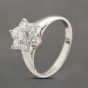 Second Hand Platinum 1.00ct Brilliant Cut Diamond Seven Stone Cluster Ring 43121288
