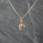 Second Hand 9ct Yellow Gold Dolphin Pendant & 18 Inch Curb Chain 43141288