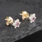 Second Hand 9ct Yellow Gold Ruby & 0.24ct Diamond Flower Cluster Stud Earrings 43171252