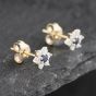 Second Hand 9ct Yellow Gold 0.09ct Sapphire & 0.24ct Diamond Flower Cluster Stud Earrings 43171275