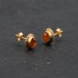 Second Hand 9ct Yellow Gold 10mm Amber Oval Stud Earrings 43171372