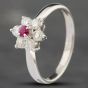 Second Hand Platinum 0.12ct Ruby & 0.44ct Brilliant Cut Diamond Round Cluster Ring 43351008