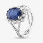 Second Hand Platinum 4.47ct Oval Cut Sapphire & 0.97ct Brilliant Cut Diamond Cluster Ring 43361062