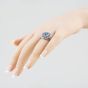 Second Hand 14ct White Gold Sapphire & Brilliant Cut Diamond Oval Cluster Ring 43361083