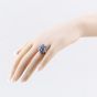 Second Hand Platinum 3.99ct Sapphire & 0.40ct Brilliant Cut Diamond Multi Cluster Ring 43361204