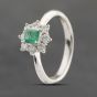 Second Hand Platinum Emerald & 0.33ct Brilliant Cut Diamond Oval Cluster Ring 43371062