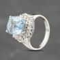 Second Hand Platinum Aquamarine & 0.40ct Diamond Cushion Shape Cluster Ring 43401022
