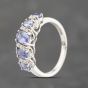 Second Hand 9ct White Gold Tanzanite & Diamond Dress Ring 43411034