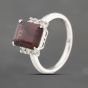 Second Hand Platinum Garnet & 0.20ct Brilliant Cut Diamond Rectangular Dress Ring 43471005