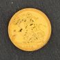 Second Hand 22ct Yellow Gold 1978 Full Sovereign Coin 47021138
