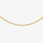 Sterling Silver Yellow Gold Panza Curb Chain Necklace 8.91.0153