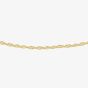 Sterling Silver Gold Plated 46cm Twisted Curb Chain 8.91.0354