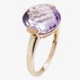 9ct Gold Single Stone Faceted Amethyst Ring 9DR357-AM-Y