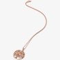 Hot Diamonds Nurture Rose Gold Tone White Topaz Tree Pendant Necklace DP865