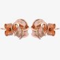 9ct Rose Gold Knot Stud Earrings E39-5009-R