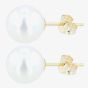 9ct 7.5 x 8mm Akoya Pearl Stud Earrings EOZ108PL