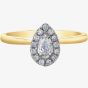 9ct Yellow Gold 0.20ct Diamond Ring 30617RW/20-10