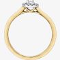 9ct Yellow Gold 0.19ct Diamond Ring 30618YW/20-10