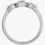 9ct White Gold 0.25ct Diamond Ring 30900WG/25-10