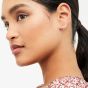 Ted Baker SEENITA Rose Gold Tone Huggie Hoop Earrings TBJ2767-24-02