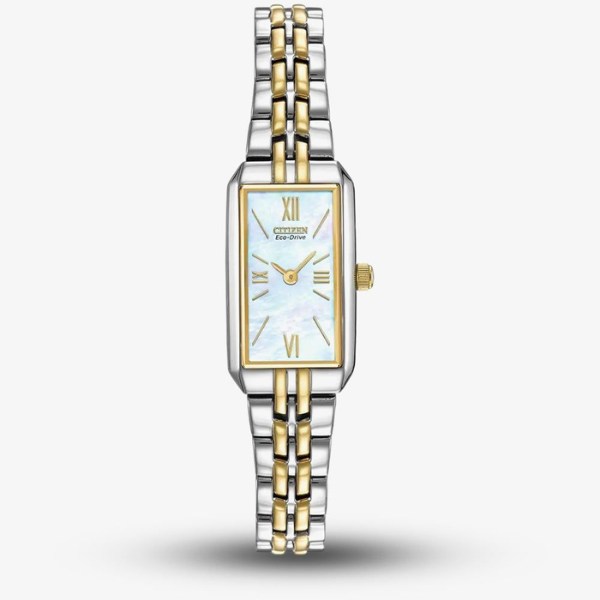 Citizen_Two_Tone_Dial