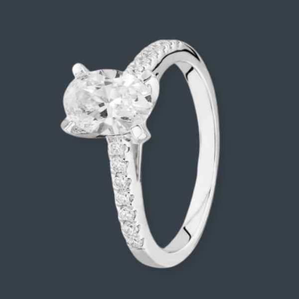 Sustainable_and_Ethical_Choice