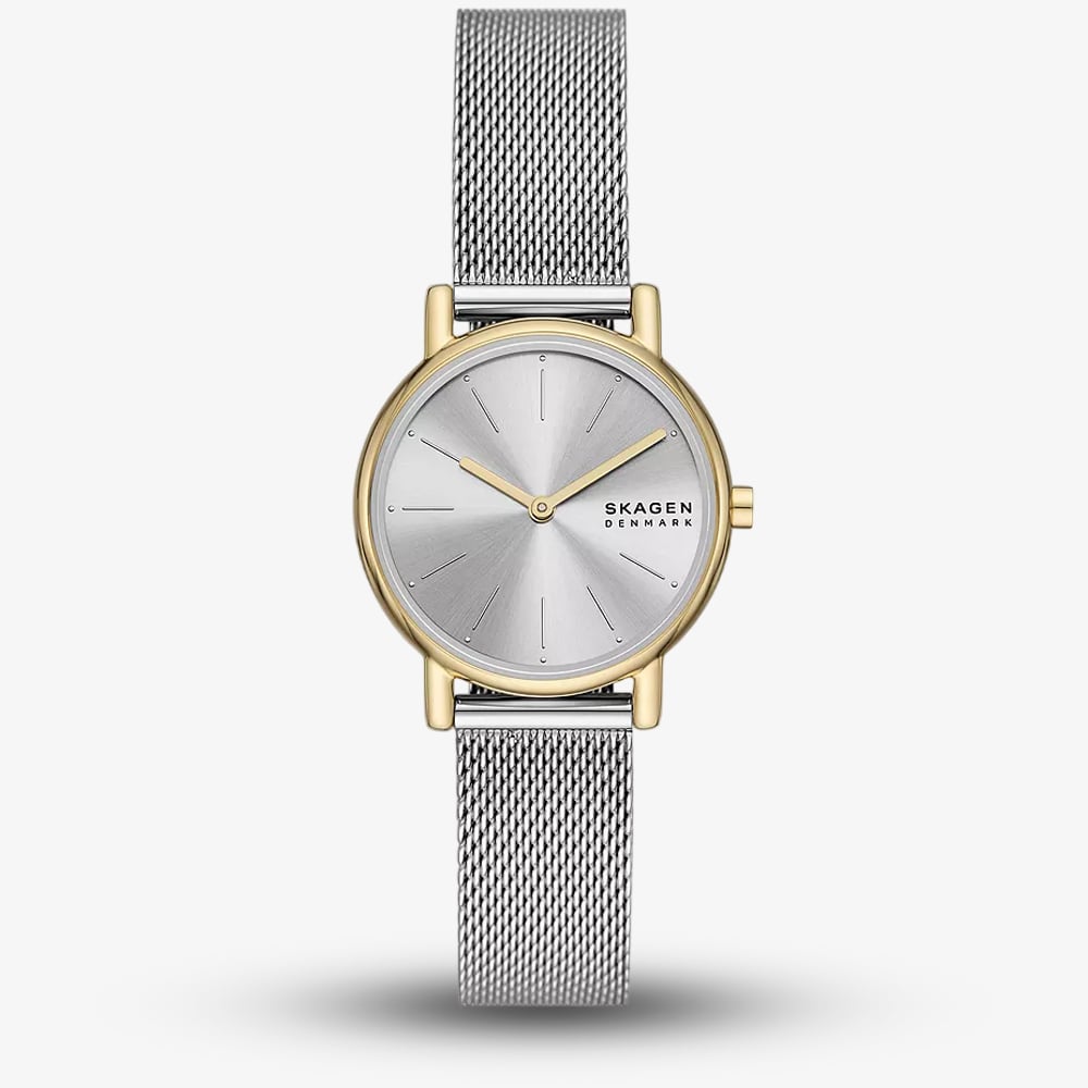 Skagen Signatur Skagen Silver Mesh Watch Skagen SKW2759 Blue Dial