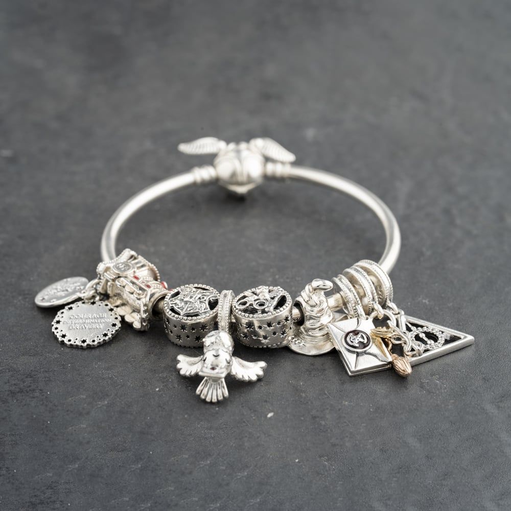 Second Hand Pandora Silver Multi Stone Pandora Assorted Harry Potter  Small Charm Bangle 41221385